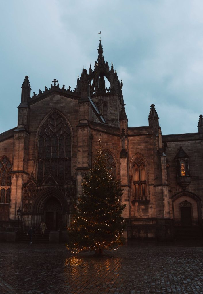 Edinburgh best christmas tree