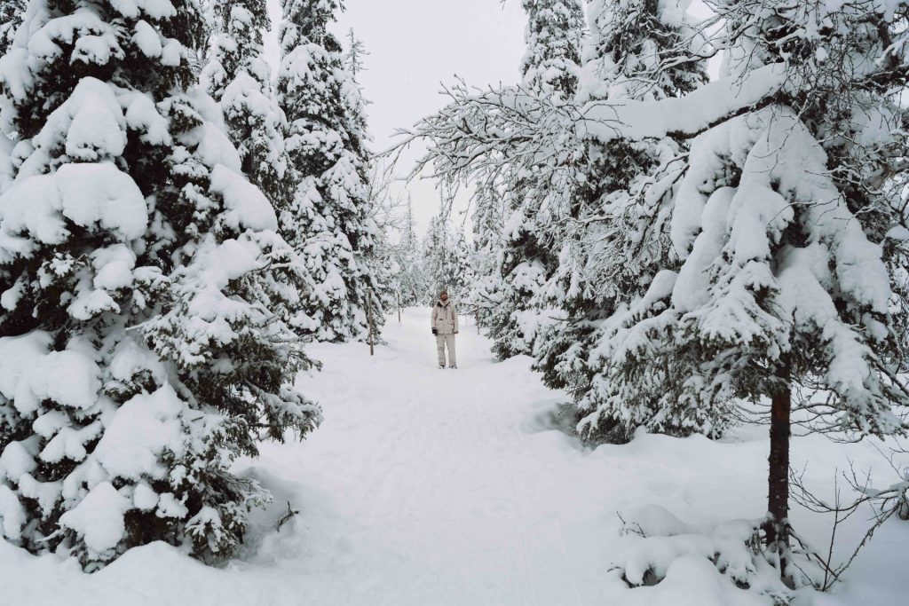 Parque Nacional Riisitunturi