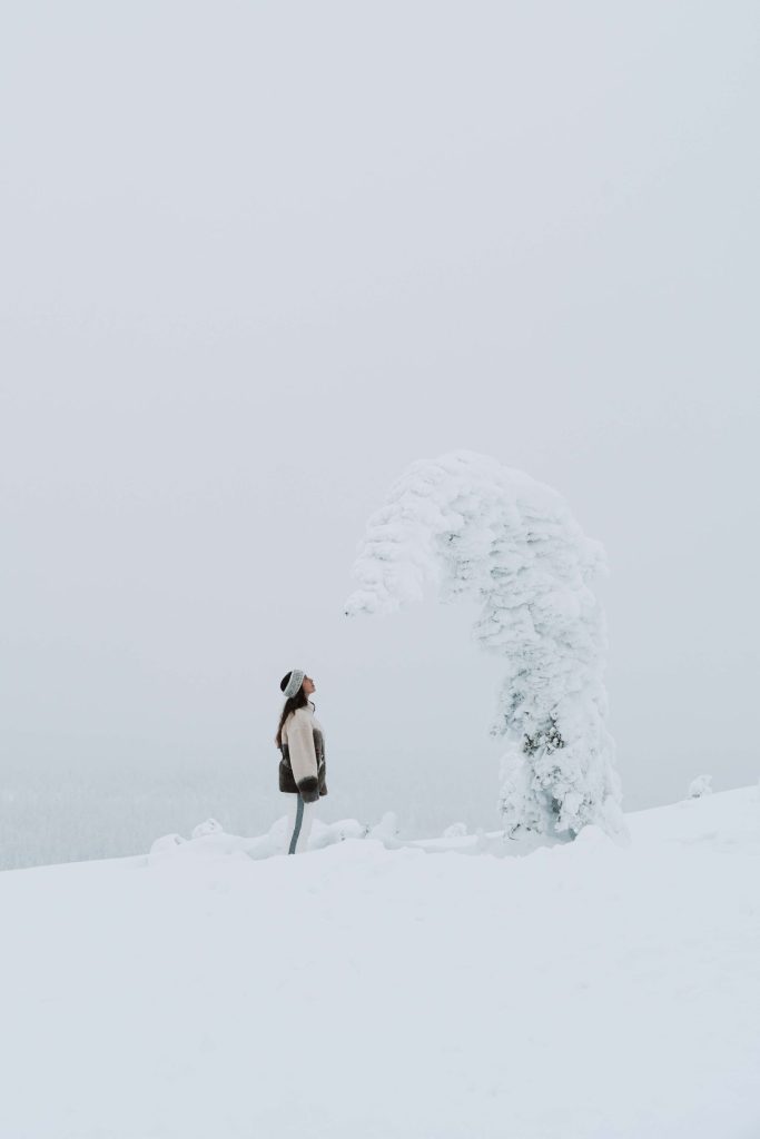 Parque Nacional Riisitunturi