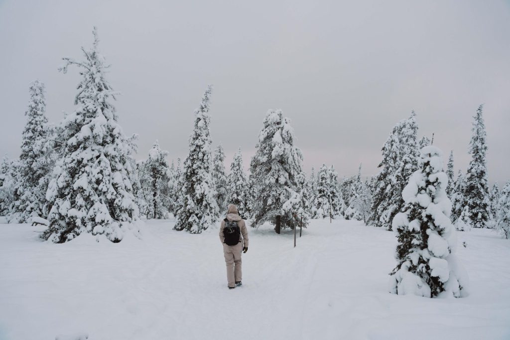 Como Planear Uma Viagem à Lapónia