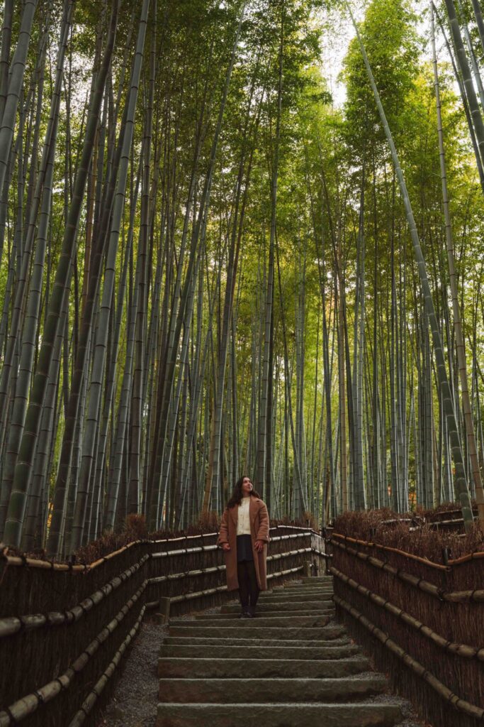 Floresta de bambu do templo Adashino Nenbutsuji em Quioto, uma alternativa mais calma a Arashiyama.