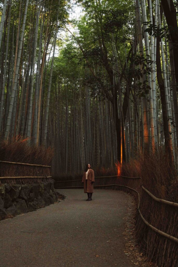Arashiyama Bamboo Forest in Kyoto, one of the most famous places to visit in Japan.