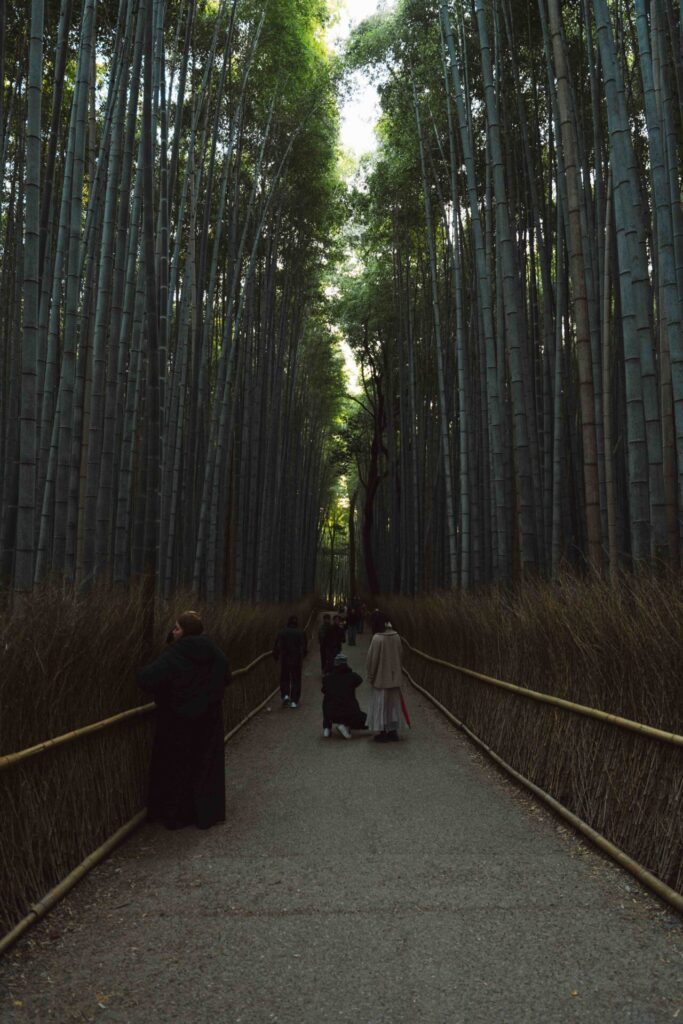 Arashiyama Bamboo Forest in Kyoto, one of the most famous places to visit in Japan.