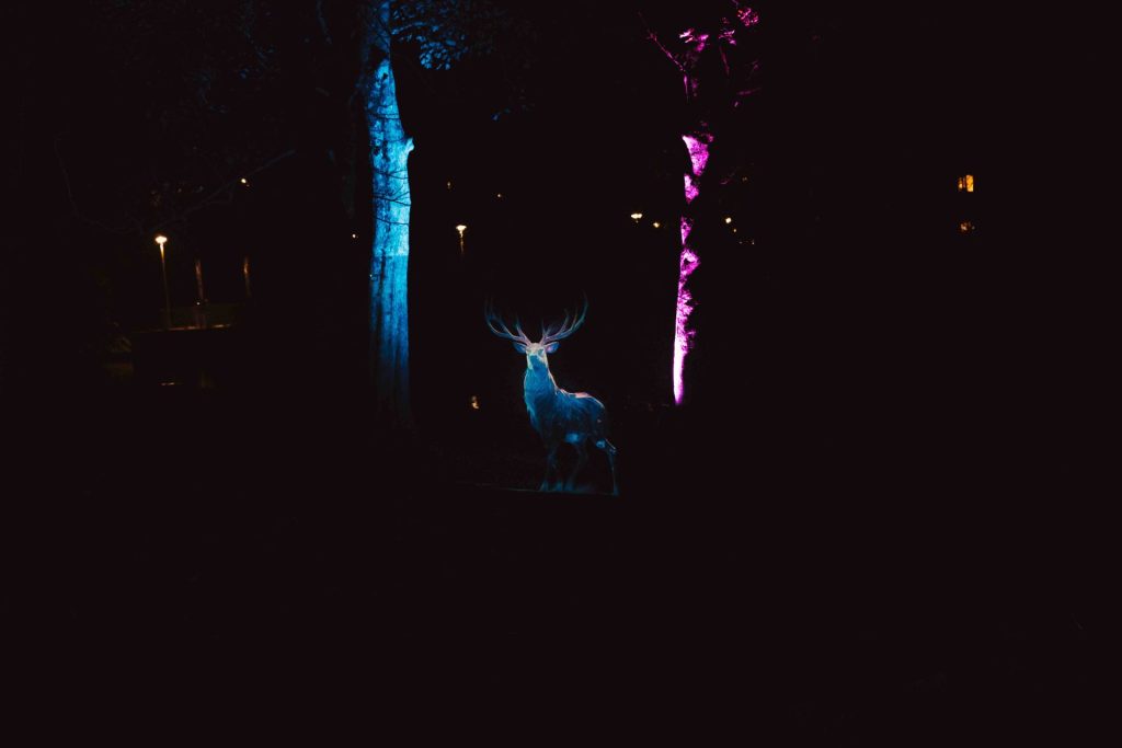 Light installation during the Bruges Light Experience Trail.