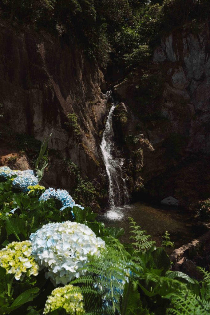Cascata do Limbo rodeada de hortênsias em Porto Formoso
